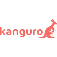Director Online Sales