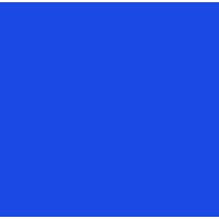 Project Director PuriSAP Program for Western Europe India Egypt - DSM