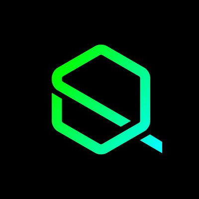 Software Developer