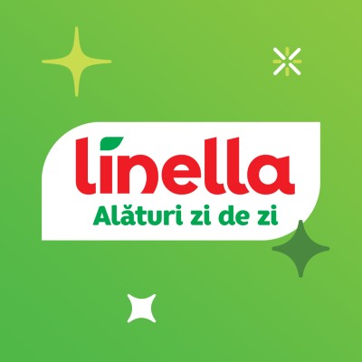 Sef serviciu tehnic