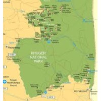 Kruger National Park Environmental Volunteer