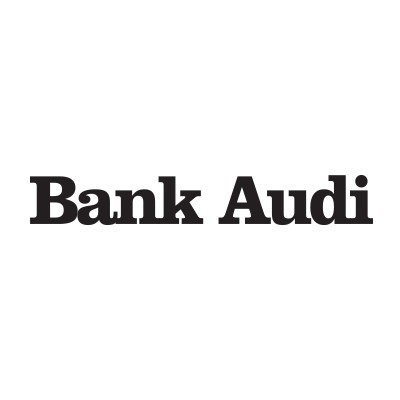 Project Manager / Team Leader