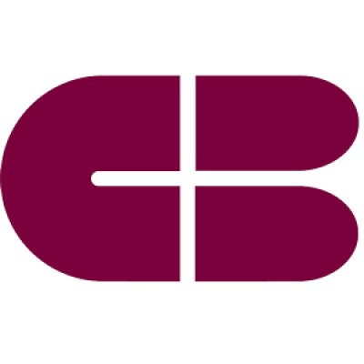 Vice President Information Technology