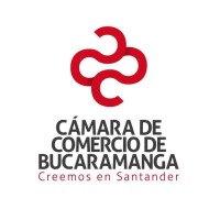 Executive Director
