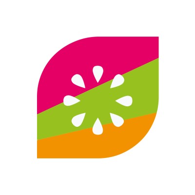 Startup Mentor