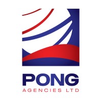 Cyber Security Consultant