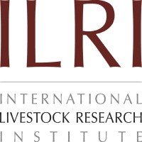 Postdoctoral Fellow