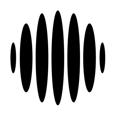 Information Technology Consultant