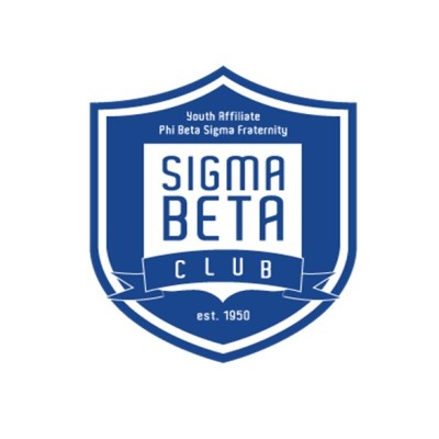 Chief Operating Officer / Board Member