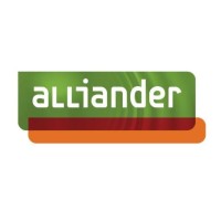 Business Consultant