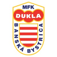 Head of scouting and data analysis + Project lead of "B+U19" project