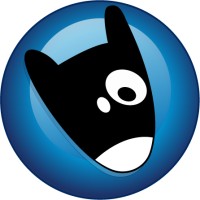 Application Development Consultant