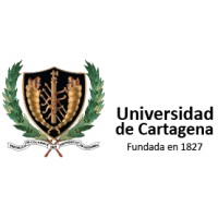 Videógrafo y editor de videos