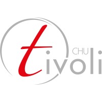 Chef de projet IT