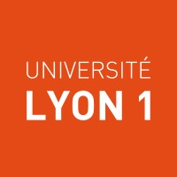 Chargée d'enseignement - Licence professionnelle Développement social et médiation par le sport