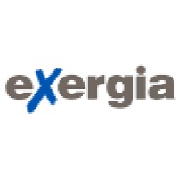 Consultant expert