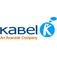 .NET Consultant