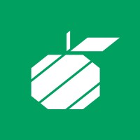 Senior Microsoft bi consultant