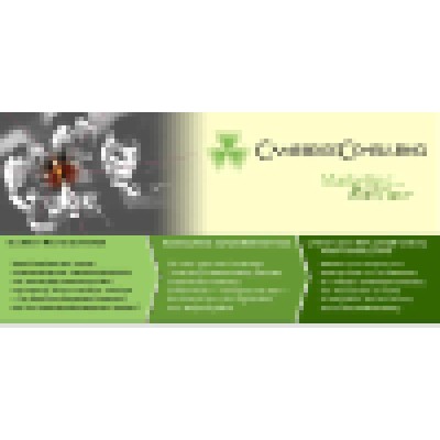 Senior Researcher
