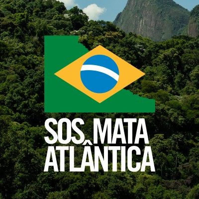 Analista socioambiental