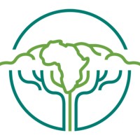 Brand Marketing Intern