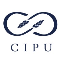 Ejecutivo de cuentas B2B