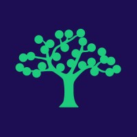 Lead Product Designer