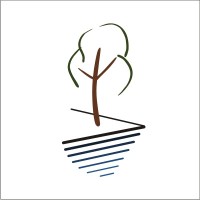 Director Of Accounting