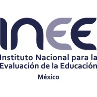 Jefe de proyecto