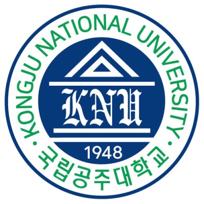 Undergraduate Researcher