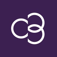 LATAM FINANCIAL MANAGER & BI