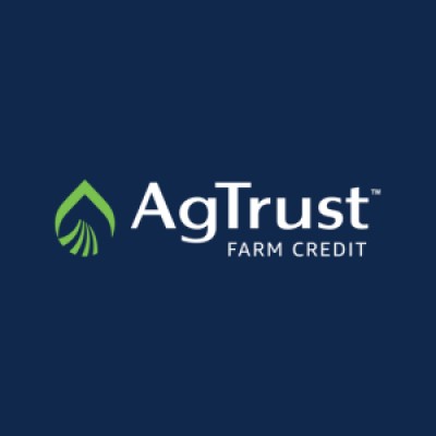 Marketing Director Fractional