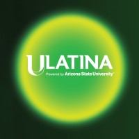 Programming Technician