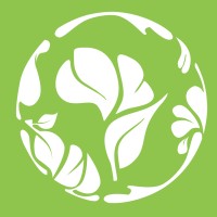 Vice President of Growth