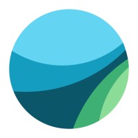 IT Business Analyst