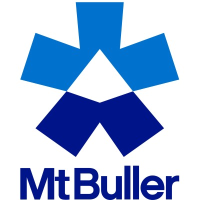 Sales Assistant