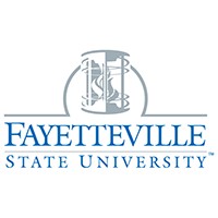 HR Business Systems Analyst