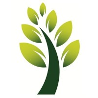 Project Business Analyst