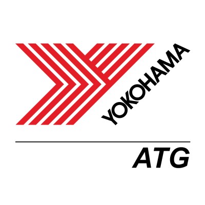 AVP and Head Brand & Marketing APAC