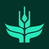 Senior Director, Financial Planning and Analysis