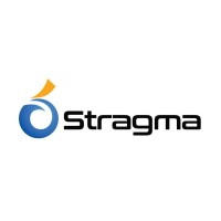 Lead Motion Graphic Designer