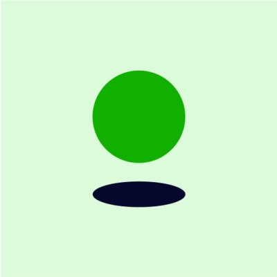 Data Analyst