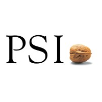 Junior Project Manager