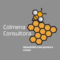 Consultor independiente