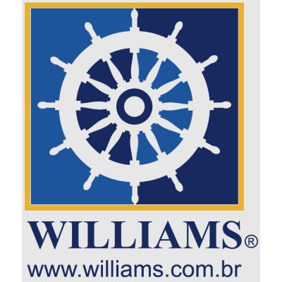 Business Intelligence Analyst