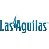 Chief Administrative Officer (CAO)
