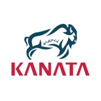 Capital Markets Advisor