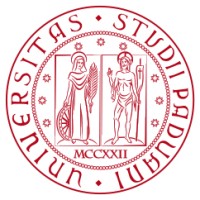 Research Fellowship