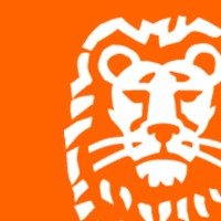 Senior Business Analyst