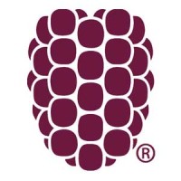 Graduate Engineer